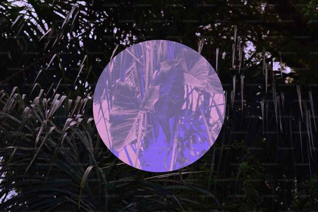 寒武纪进阶曲:国产AI芯片的突围之路